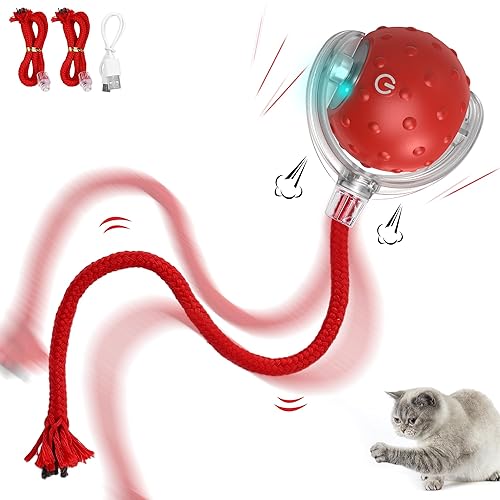 IOKHEIRA Jouet interactif pour Chat - Boule électrique Automatique Rechargeable,