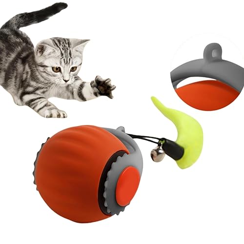 DAILINK Jouets interactifs pour chats d'intérieur Jouets électriques pour chats