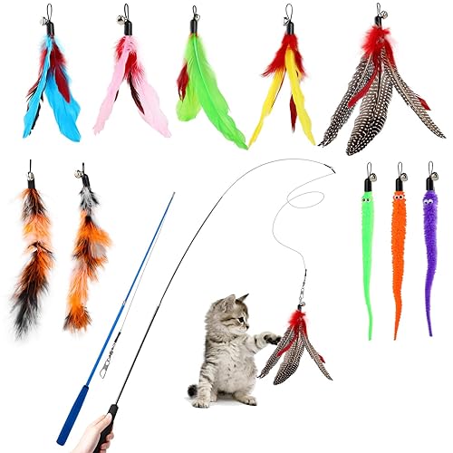 Hianjoo Jouet à Plumes pour Chats [12 PCS], Jouets interactifs