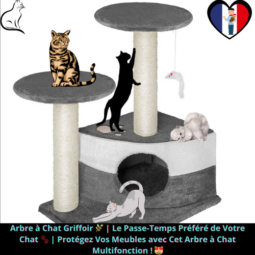 Arbre à Chat Confort & Aventure 🐾 | 71 cm,